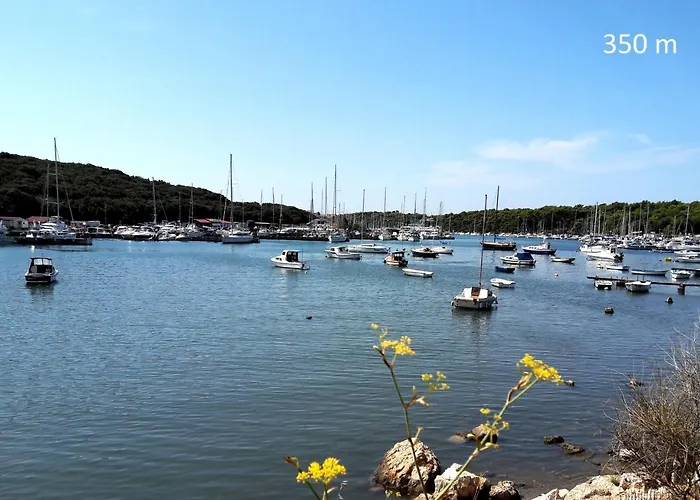 Evergreen Appartement